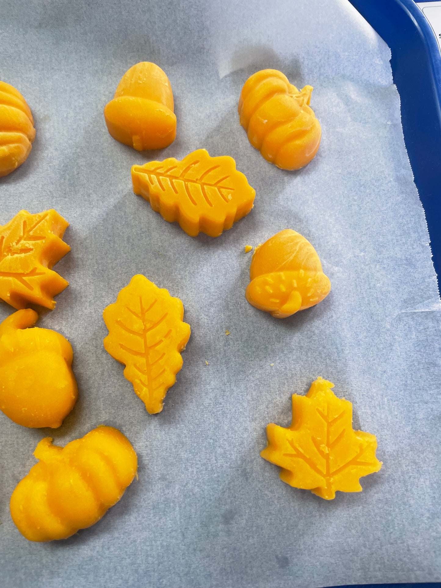 Spiced Pumpkin wax melt